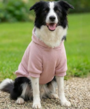 Mavis & Macy's Dog Hoodie